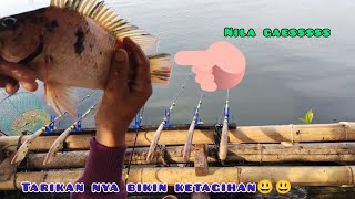 mancing terbaru cirata/lapak nya masih gacor/ikan nya ga habis habis👍👍