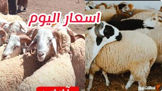 اسعار الكباش اليوم الخامس من ذي الحجة