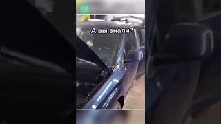 А вы знали о таком секрете? #приколы #автоприколы #сервис #автоюмор