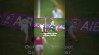 Sean Bolger outstanding goal for Oloughlin gaels 2023 club hurling final. #fyp #gaa #hurling #irish