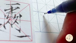 【每日一字】瘦金体楷书千字文（迩）【中性笔】