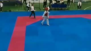 Taekwondo WTF