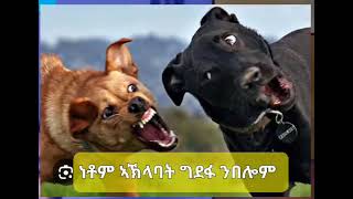 ነቶም ኣኽላባት ግደፋ ንበሎም