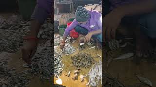 Fish Market at Digha