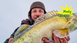 Рыбалка. Ловля Судака на Ратлины и ВИБы.