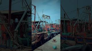 Ponnani Harbour         #shorts #ponnani #harbour