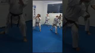 treino de kata - Gekisai dai ichi