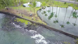 Flying in Hawaii and Swimming With Sea Turtles