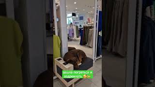 Собаченька 😍 Милота в Viaport AVM İSTANBUL #стамбул #турция #istanbul #avm #köpek