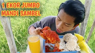 MUKBANG 1 EKOR AYAM BAKAR UTUH, MANDI CABE DI SAWAH SUPER NIKMAT