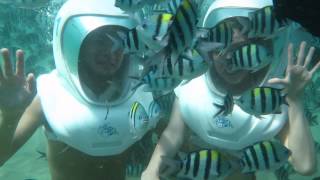 Seawalker Tour, Sanur   Bali   fun experience & things to do in Bali 2