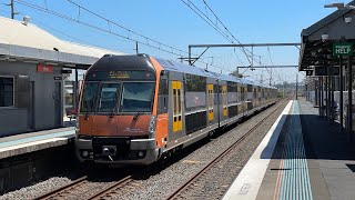 Sydney Trains Travel Series #36: Ingleburn - Minto (Waratah)