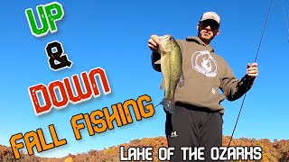 Late October Bass | Lake Of The Ozarks