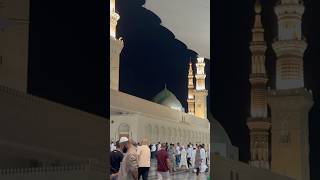 The most beautiful place #madina #masjidalharam #trending #ytshort #shorts