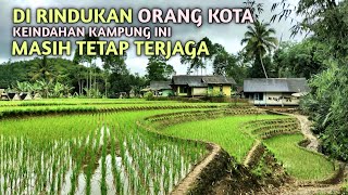 Kampung Idaman Orang Kota Sangat Indah dan Damai || Ciburial