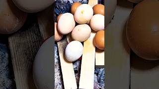 p575 | Balut eggs are super delicious #asmr #mukabang #funny