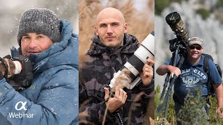 Shooting wildlife with Sony