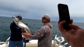 Wet Net Charters   Bradley's Monster King