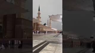 Heavy Rain in madina Pak ♥️♥️🌧️🌧️🌧️🕋🕋🕋 #makkahmadeenah #love