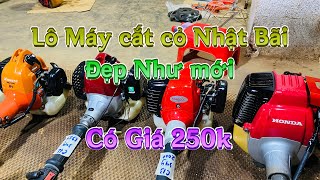 22/1 Bán cực Rẻ Lô máy cắt cỏ Nhật bãi Đẹp Như Mới 🥰 Giá chỉ từ 250k … ☎️0947594678