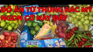 #63- LƯỢM 30 BÌ NƯỚC UỐNG DÂU VÀ KIWI TỪ THÙNG RÁC MỸ