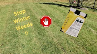 1 Step to Prevent Winter Weeds - Fall Bermuda Treatment