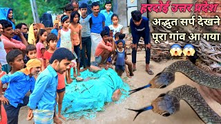 कितने सुंदर प्यारे सर्प किस प्रकार कैसे किए गए रेस्क्यू!!#bablujitendradassarpmitra