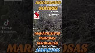 🆘🌳 ENERGÍAS RENOVABLES ARRASANDO OLIVARES POR TODA ESPAÑA 🌳🆘