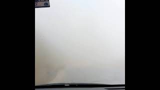 Driving through Mist in Idukki, Kerala #Shorts