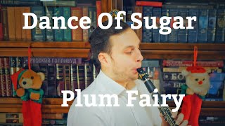 Tchaikovsky: Dance of Sugar Plum Fairy - The Nutcracker (Clarinet Version)