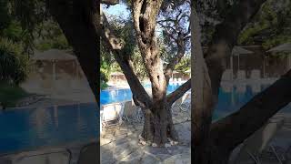 Resort in Peloponez, Grecia #music #love #beauty #viralvideo #shorts