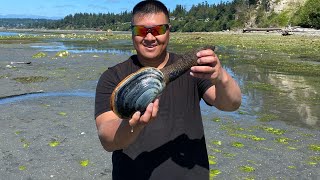 First Geoduck Ever!