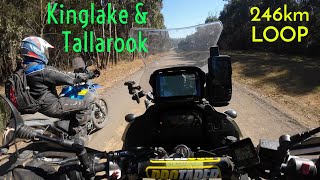 KLR650 & Tenere Battle The Dry Creek Bed