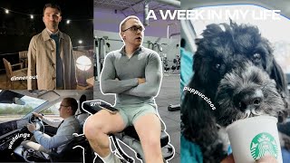 WEEK IN MY LIFE VLOG - Weddings, Meals &  Dog Party