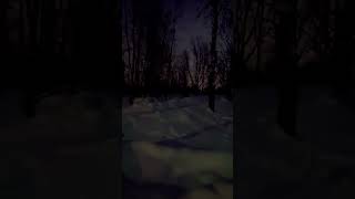 Русская Зимушка Зима❄️#атмосфера #дом #отдых #время #природа #youtubeshorts #зима #снег #лес #ночь