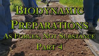 Biodynamic Preparations As Forces, Not Substance Part 4