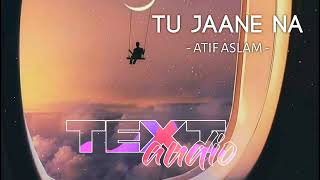 Tu Jaane Na [Slowed+Reverb]- Atif Aslam | Textaudio Lyrics