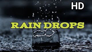 Rain Drops Slow Motion HD | Rain Slow Motion | Best Rain Video | Nature Heaven 😍 | My Nature World