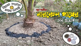 নতুন পদ্ধতি😱। নারিকেল গাছের সার প্রয়োগ🌴। Coconut tree fertilizer in bengali । Tapati Nursery