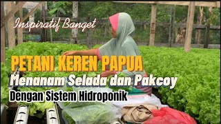 Petani Keren Di Papua - Kebun Selada dan Pakcoy Hidroponik di Kabupaten Sorong