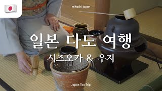 🇯🇵 일본 차의 향기를 따라가는 다도 여행, 시즈오카와 우지 | 미하치 일본