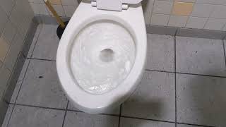 revisit of the 2001 American standard Canadian Cadet toilet on flushometer