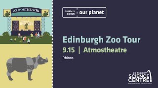 RZSS Zoo Tour - Rhinos