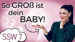 SSW 7: Kreislauf spielt verrückt | Baby ist so groß wie eine Heidelbeere | Mein Kinderwunsch