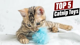 Top 5 Catnip Toys Your Cat Will Obsess Over