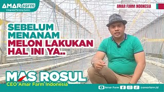 Budidaya Melon, Lakukan ini sebelum mulai menanam..