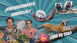 T3EP10 IMPORTANCIA ‼️del enriquecimiento ambiental en MASCOTAS EXÓTICAS y animales de ZOOLÓGICO 👀⚠️