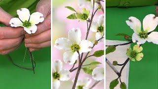 Create Dogwood Sugar Flowers For Cakes | Part 2