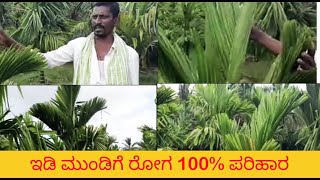 ಇಡಿ ಮುಂಡಿಗೆ ರೋಗ 100% ಪರಿಹಾರ Kiran 9739296091 Arecanut plantation disease control