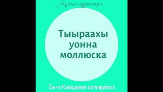 ТЫЫРААХЫ УОННА МОЛЛЮСКА